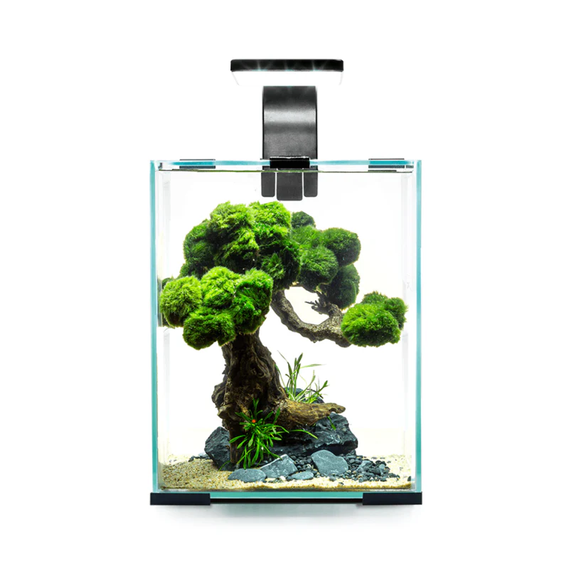 Aquael Day & Night 30L Shrimp Tank Set - Image 3