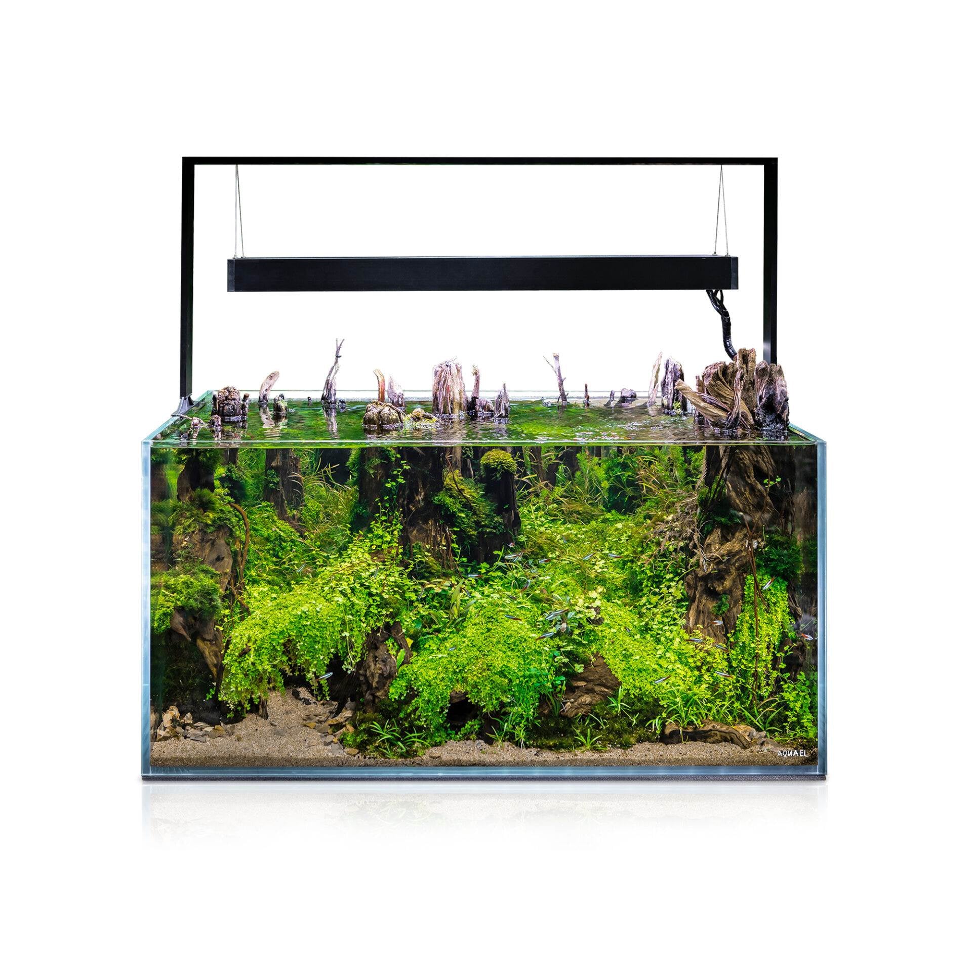 Aquael Ultrascape 60 Optiwhite Aquarium Set - Image 12