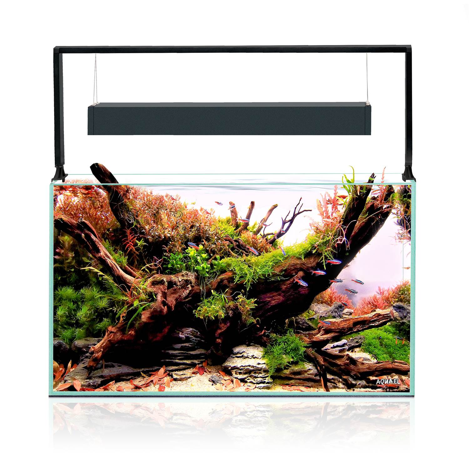 Aquael Ultrascape 60 Optiwhite Aquarium Set - Image 16