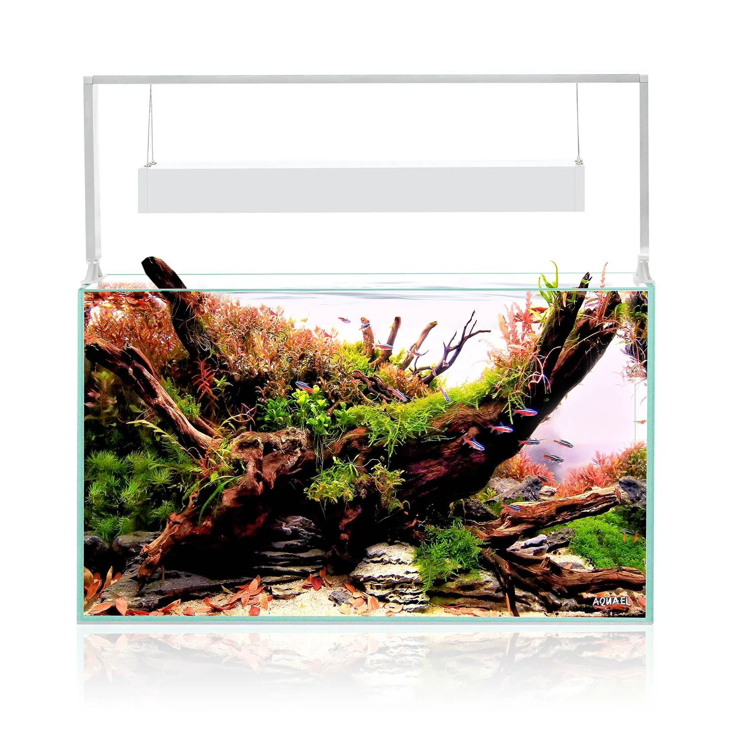 Aquael Ultrascape 60 Optiwhite Aquarium Set - Image 18