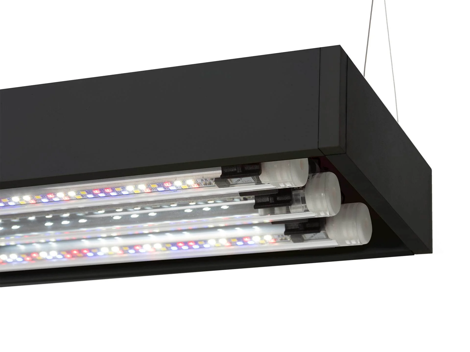 Aquael Ultrascape 60 Optiwhite Aquarium Set - Image 19