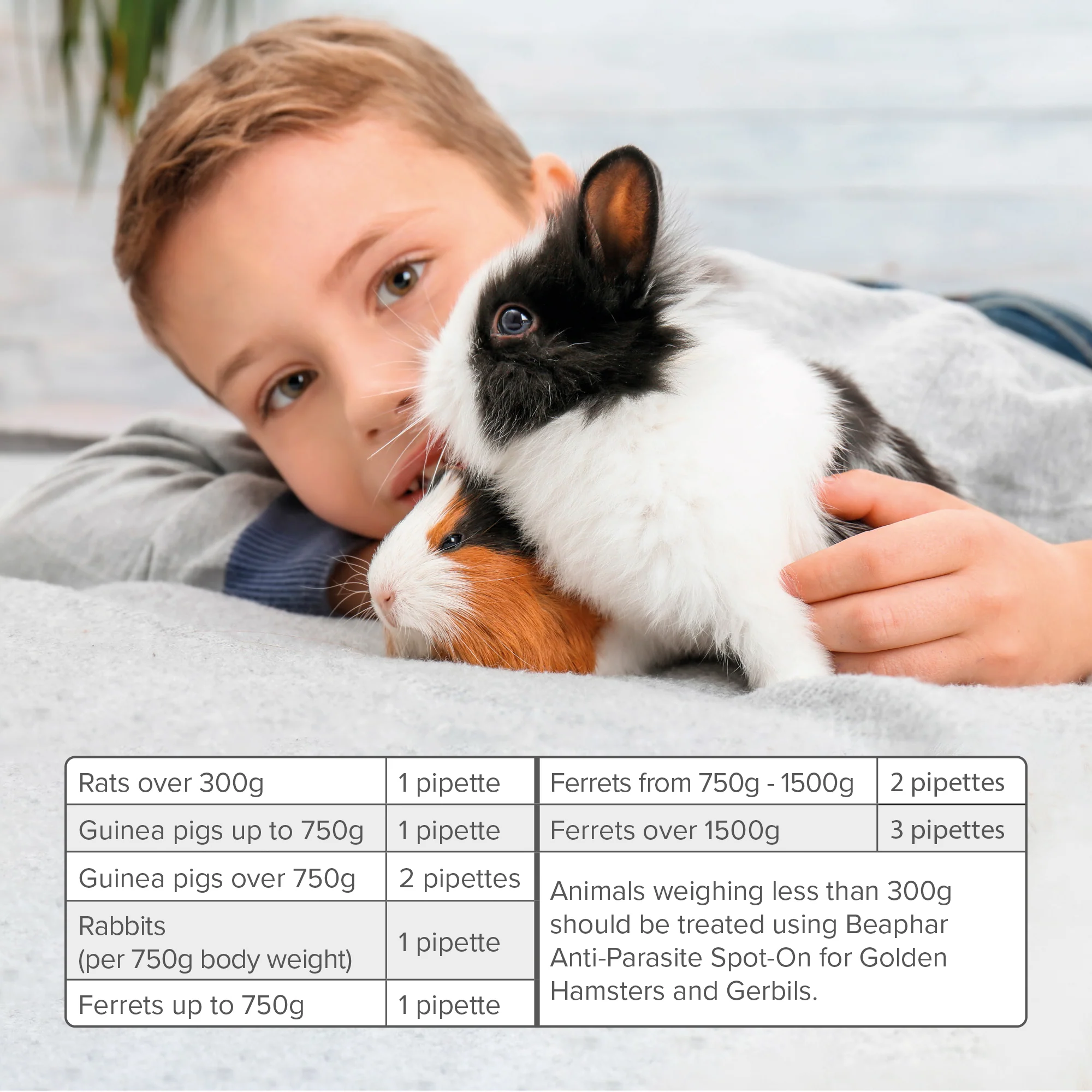 Beaphar Anti- Spot On Anti-Infection for Rabbit & Guinea Pigs 4 Pipettes - Image 3