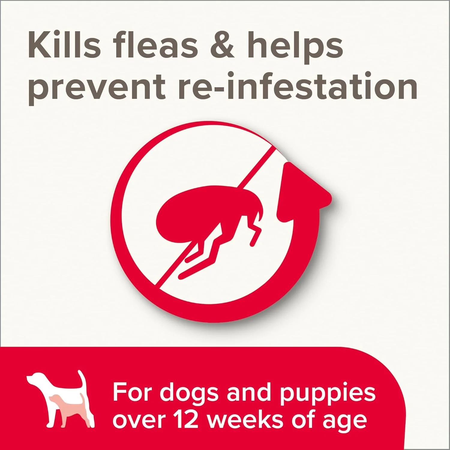 Beaphar Insecticidal Flea Shampoo 250ml - Image 3