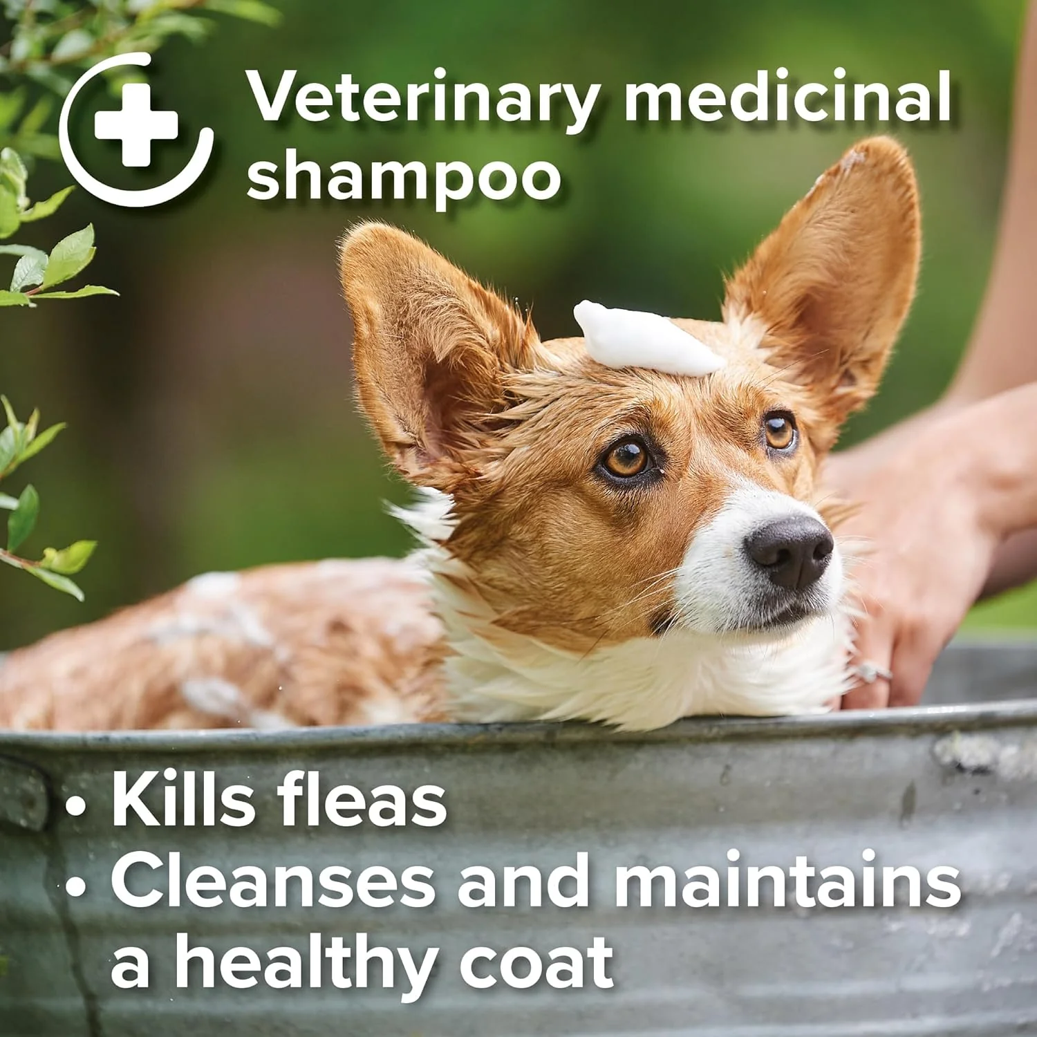 Beaphar Insecticidal Flea Shampoo 250ml - Image 4