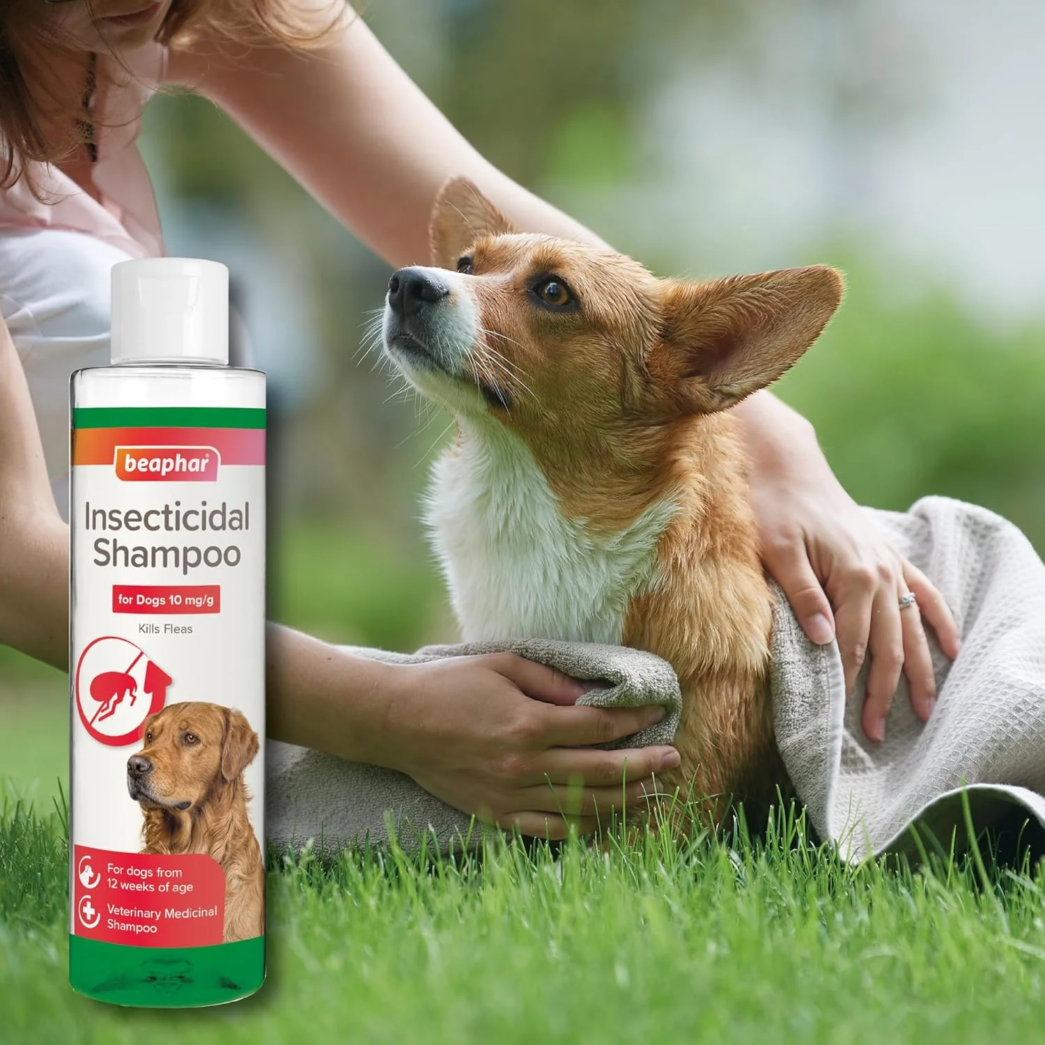 Beaphar Insecticidal Flea Shampoo 250ml - Image 7