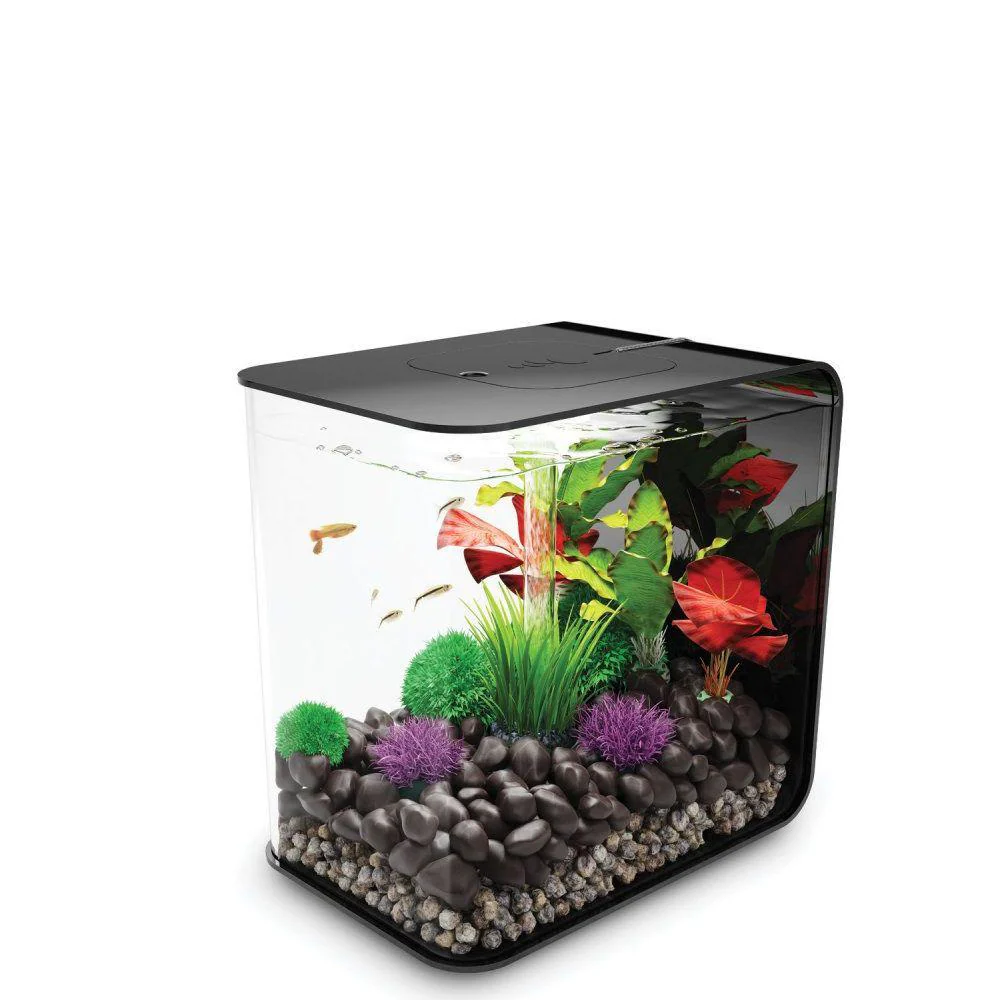 BiOrb Flow 30L Acrylic Aquarium with LED Light - Image 3