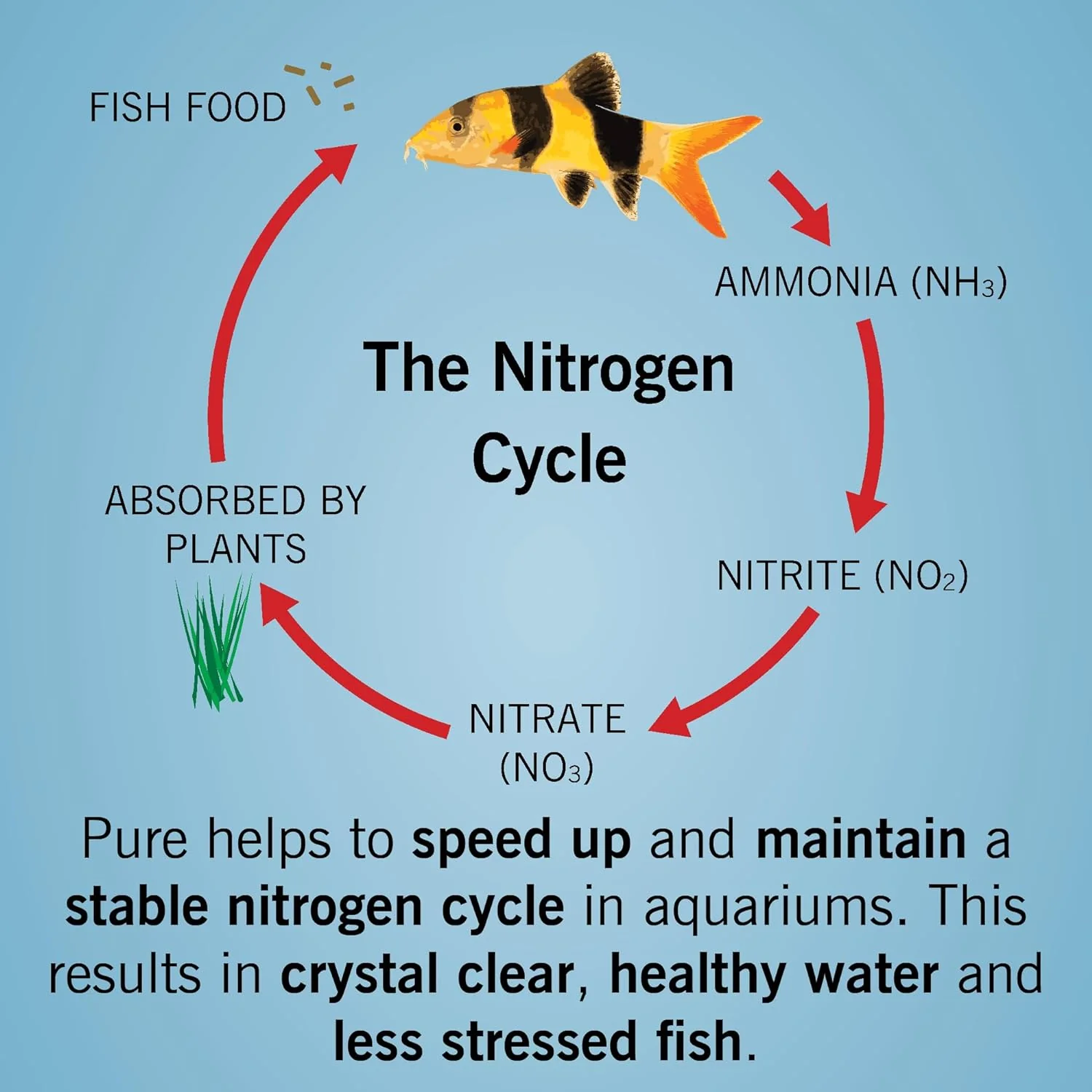 Evolution Aqua Pure Aquarium 50 Ball - PUREAQU250 - Image 4