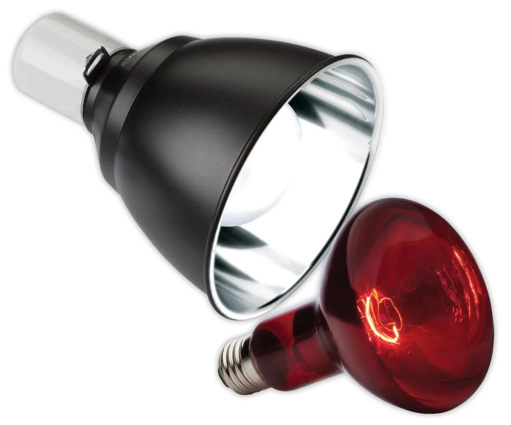 Exo Terra Infrared Heat Lamp Dome Combo - Image 3