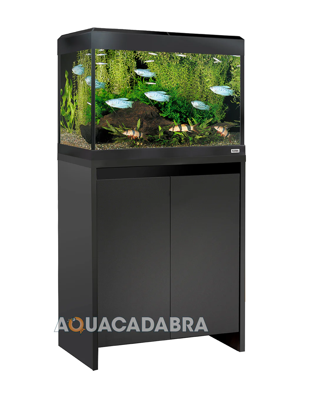 Fluval Roma 90 BT LED Aquarium & Cabinet - Image 3