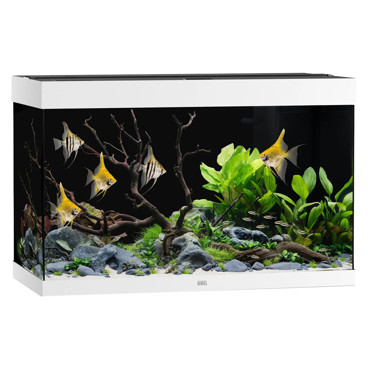 Juwel Rio 290 LED Aquarium - 290L with MultiLux & BioFlow - Image 3