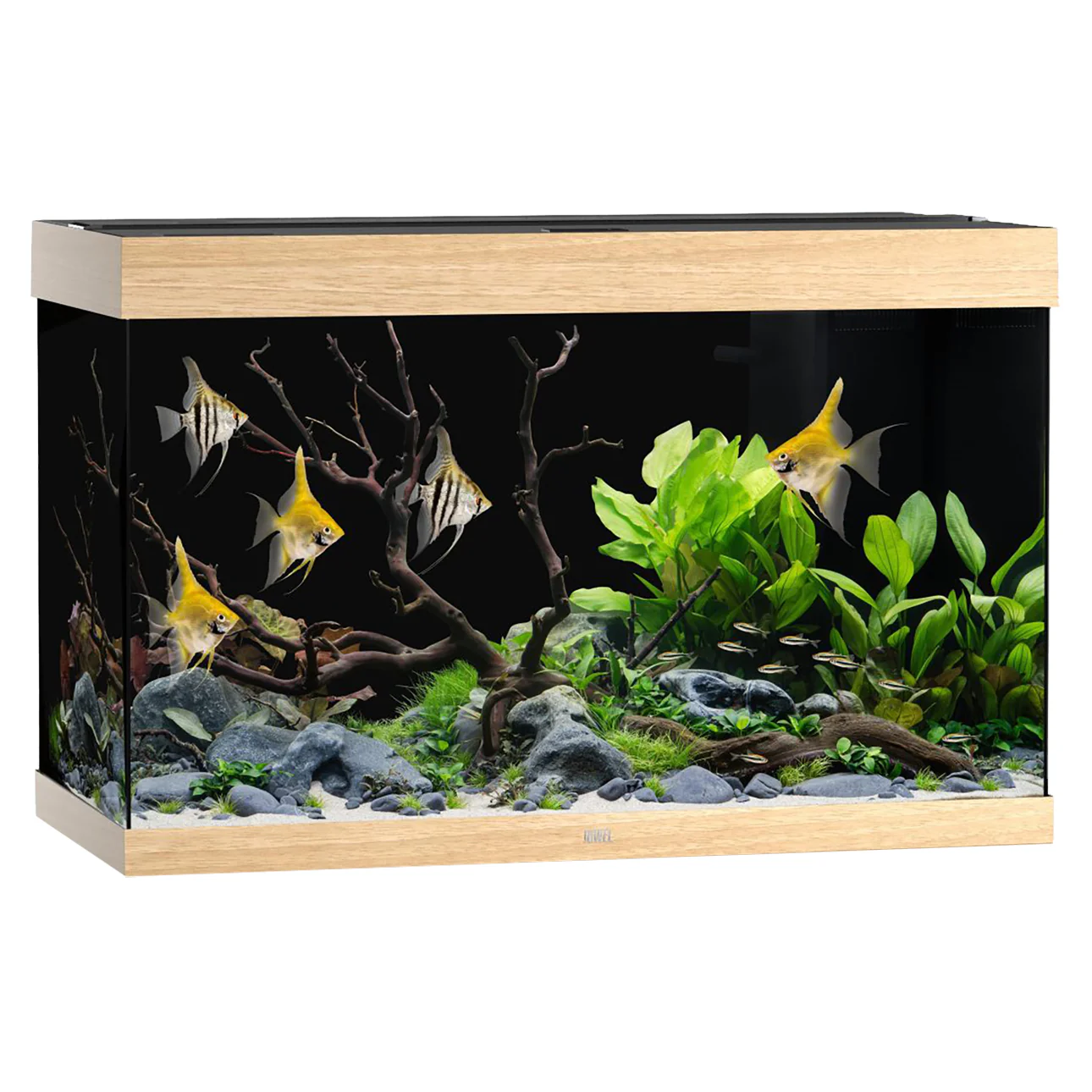 Juwel Rio 290 LED Aquarium - 290L with MultiLux & BioFlow - Image 4