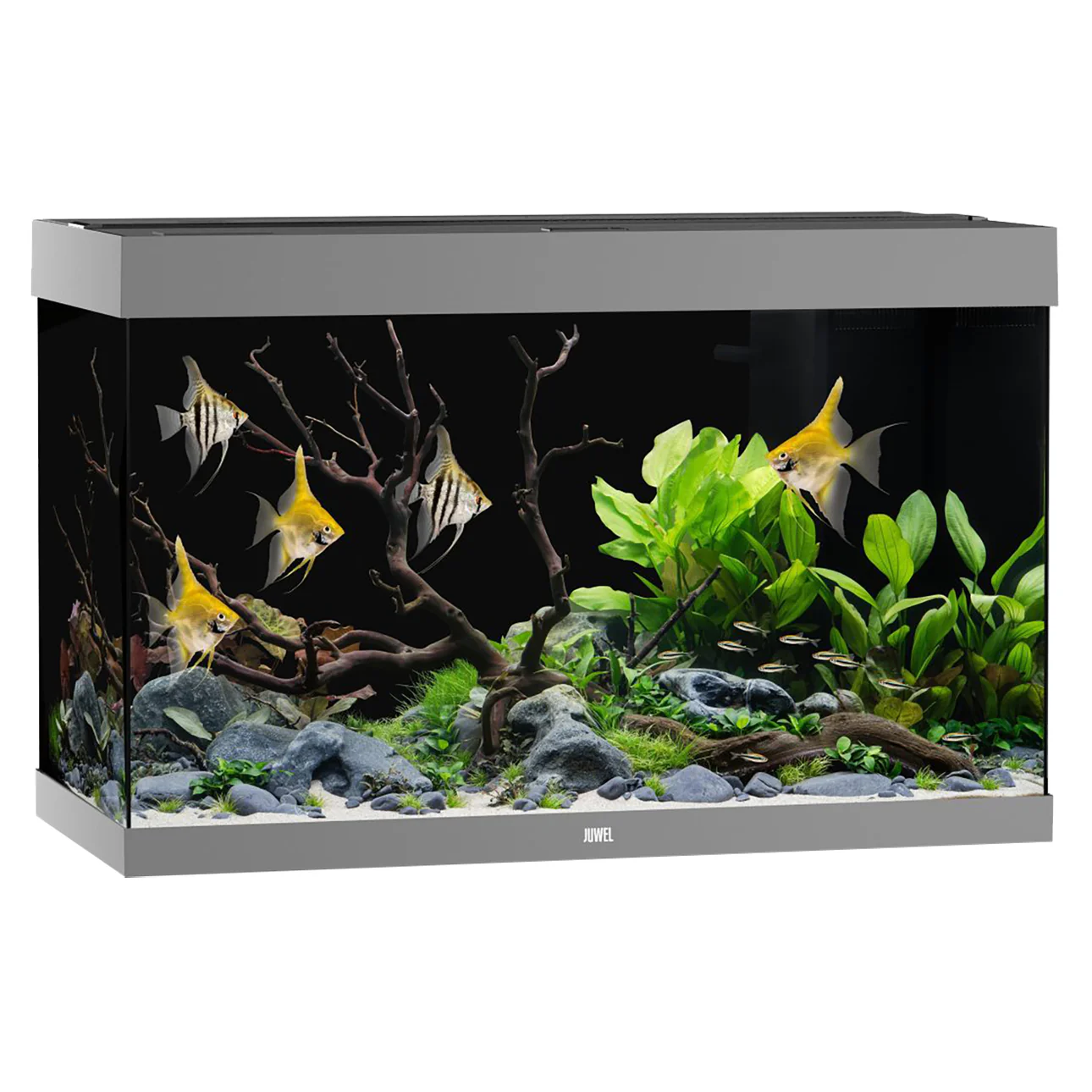 Juwel Rio 290 LED Aquarium - 290L with MultiLux & BioFlow - Image 5