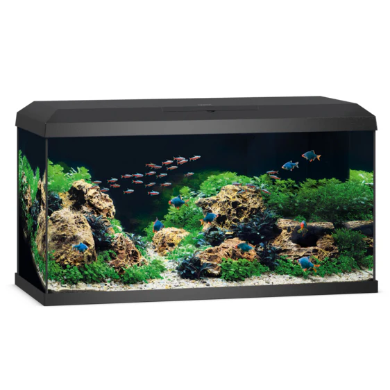 Juwel Primo 110 Black LED Aquarium Set - Image 5