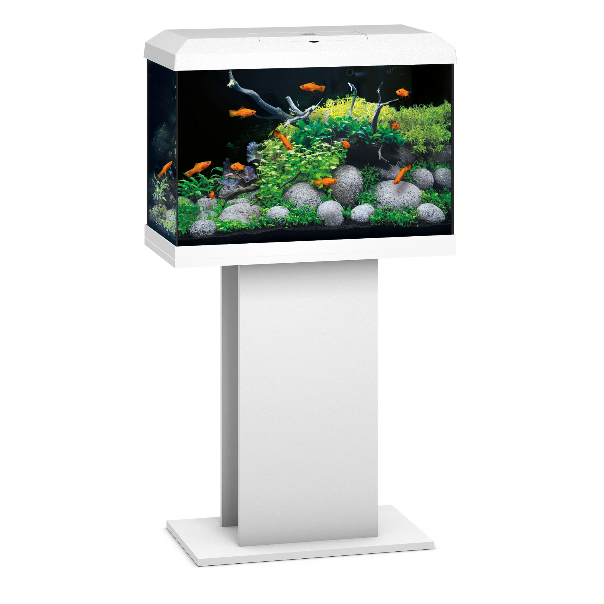 Juwel Primo 70 LED White Aquarium Setup - Image 3