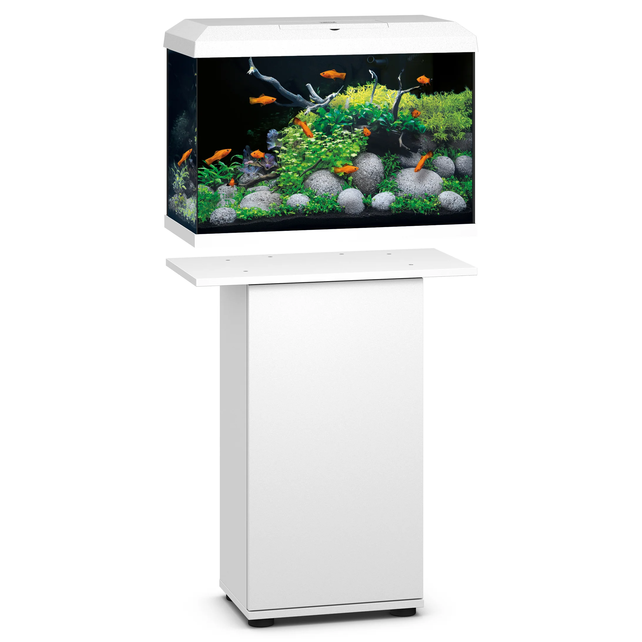 Juwel Primo 70 LED White Aquarium Setup - Image 4