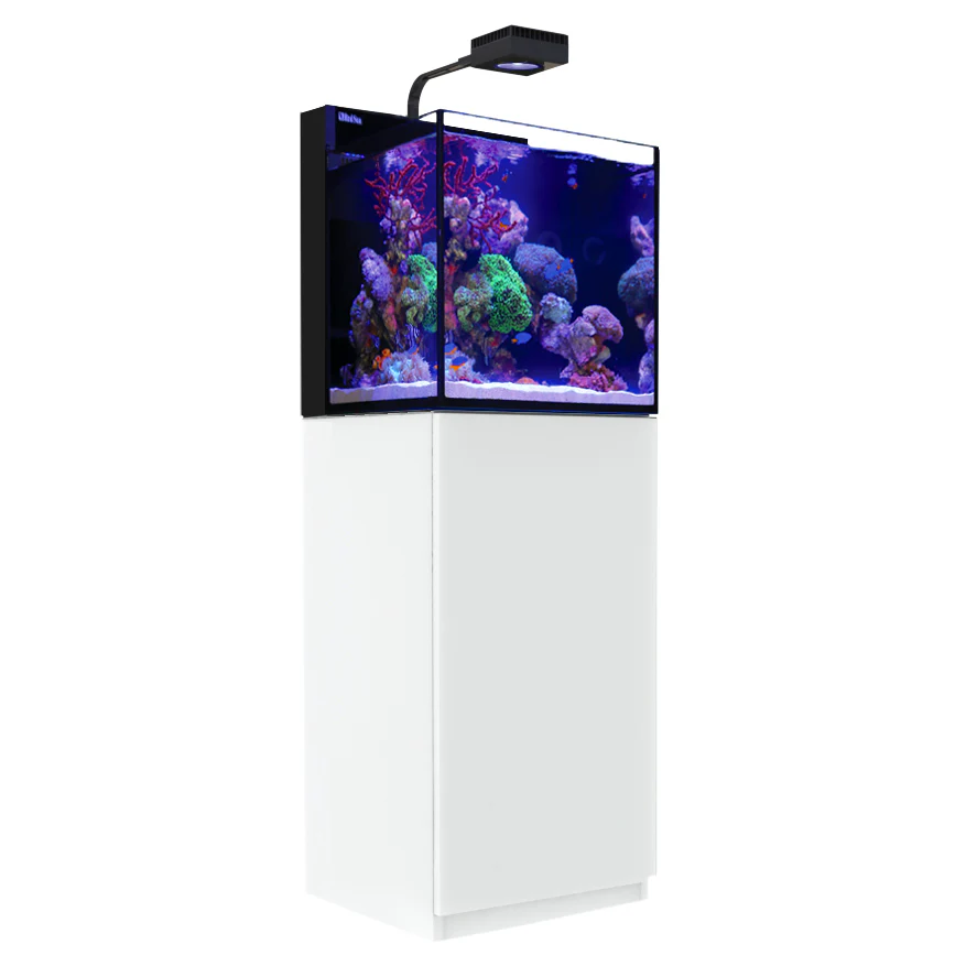 Red Sea MAX Nano G2 Reef Aquarium Cube - Image 4