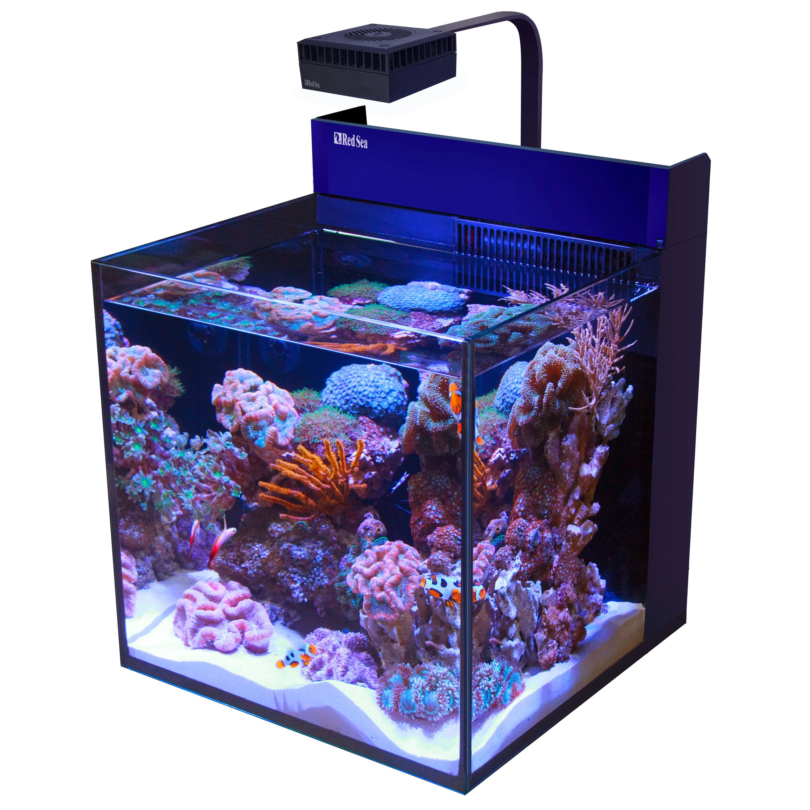 Red Sea MAX Nano G2 Reef Aquarium Cube - Image 7