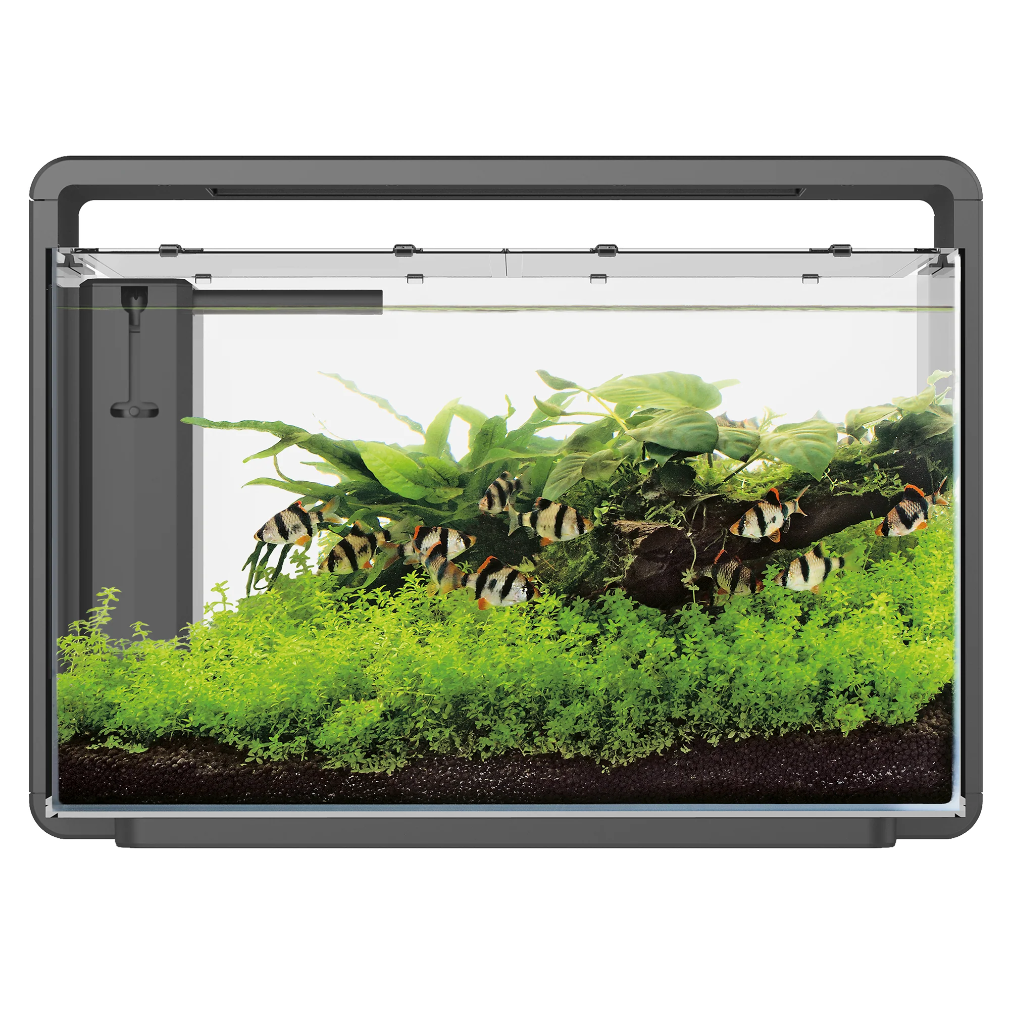 Superfish Home 65 LED Aquarium with Built-in Filter System - Image 3