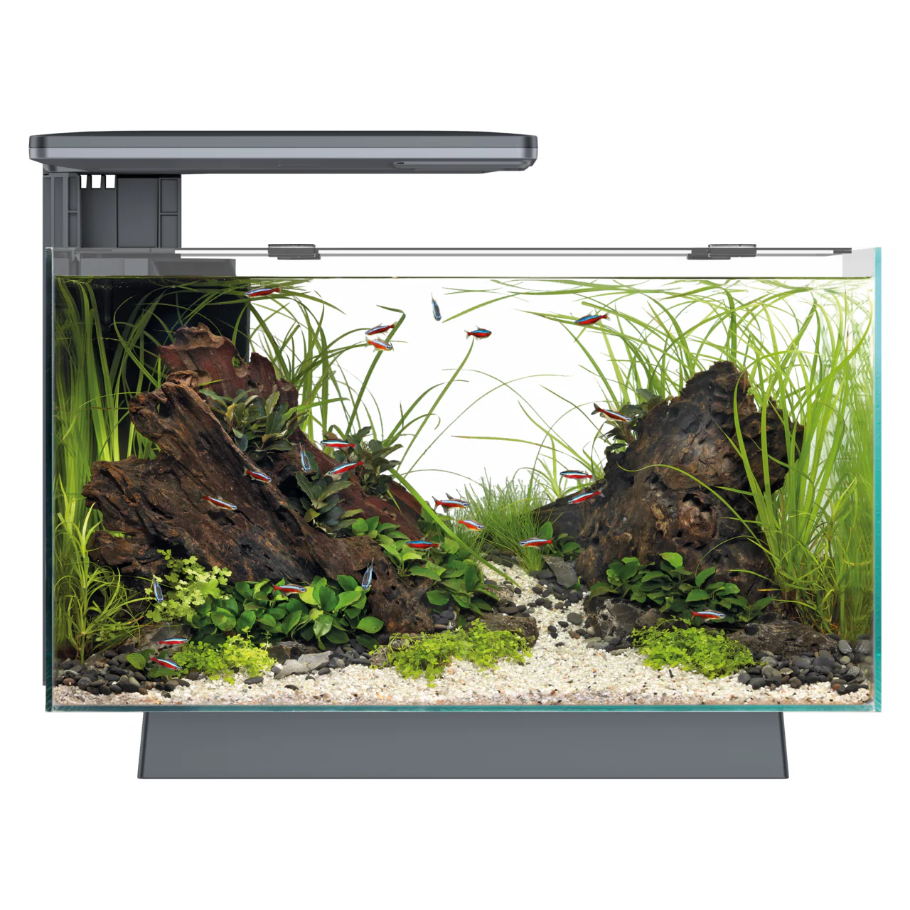 Superfish Quadro 40 Multi-Colour Aquarium with Cabinet - Image 12