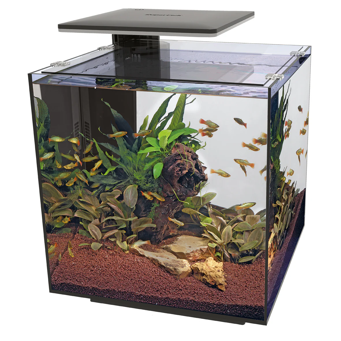 Superfish Qubiq Pro 60 LED Aquariums - Image 3